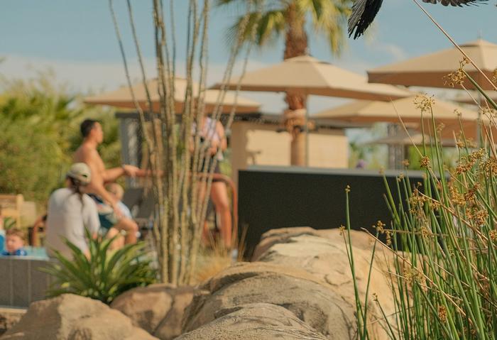 Visitors beside water in an Arizona desert garden